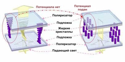 Прохождение света через ЖКИ